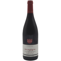 Les Vignerons De Buxy - Bourgogne Pinot Noir Buissonnier | French Wine